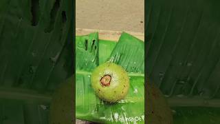 amazing catting shortvideo fruit viralvideo [upl. by Llehsram]