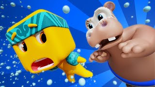 The Hippo Dance Shake Shake Shake  D Billions Kids Songs [upl. by Eardna937]