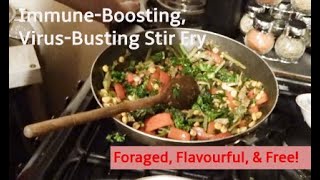 ImmuneBoosting Stir Fry With Foraged Nutritious Ingredients Horsetail amp Nettle [upl. by Nevil]