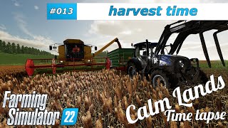 4K 🚜 harvest sorghum sow oilseed radisch mow meadow  FS22 Calm Lands time lapse  013 [upl. by Harvison]