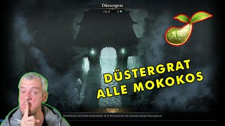 Lost Ark  Düstergrat  ALLE MOKOKOs 👌 [upl. by Rafaellle245]