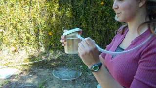 How to Make an Insect Collection Using an Aspirator [upl. by Zennie465]