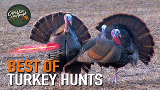 50 Gobblers in 9 Minutes ULTIMATE Turkey Hunting Compilation  BEST OF [upl. by Adnilrev]