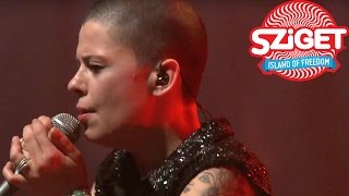 Kovacs Live  Sziget Festival 2016 [upl. by Medorra893]