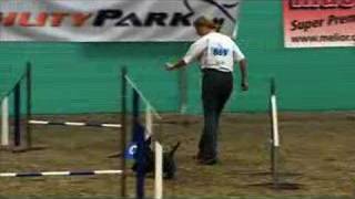 Scottie Flash Agility Training and at Swiss Championship 06 [upl. by Noram]