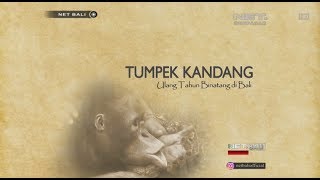 BALI STORY  TUMPEK KANDANG ULANG TAHUN BINATANG DI BALI NET BALI [upl. by Milford]