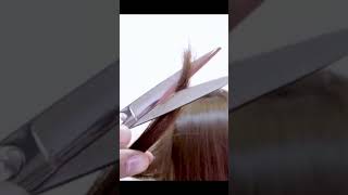 CAU627 Hair Thinning Scissorsshorts haircut hairstyles barber salon hairdresser hairdresser [upl. by Ilamad]