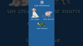 Les Animaux  Animal Names in French  How to say animals in French  shorts learnfrench [upl. by Piane]