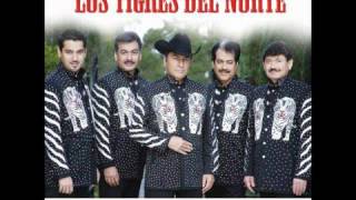 Al Mil Por Uno  Los Tigres Del Norte [upl. by Geoffrey]