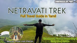 NETRAVATI PEAK Trek in Tamil  Chikmagalur Tourist Places  Karnataka Trekking  2023 Samse Kalasa [upl. by Annayoj]