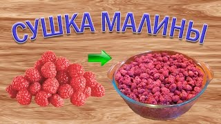 Как сушить ягоды малины Малиновая пастила [upl. by Stace]