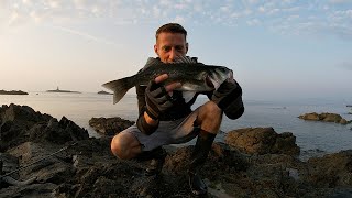 BASS ON PATCHINKO 125 amp COOK UP ON THE ROCKS  SEABASS RISOTTO [upl. by Arraek543]