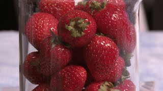 How to extract DNA from strawberries [upl. by Gothart]