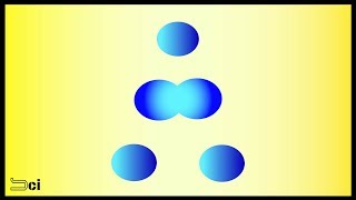 MITOSIS  Cell division explained in Tamil [upl. by Abey]