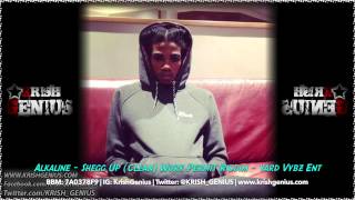 Alkaline  Shegg Up Clean Work Permit Riddim  April 2014 [upl. by Kisor]