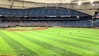 Macarena Tropicana Field St Petersburg FL 32624 [upl. by Ingold]