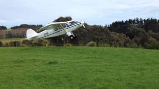 Spectacular Takeoff Oratex covered Bearhawk 4 seater New Zealand [upl. by Will96]