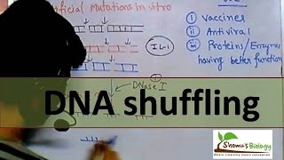 DNA shuffling [upl. by Kciredec]