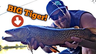 Shore Fishing Albertas Busiest Lake for BIG Trout pt2 [upl. by Lippold464]