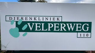 Rondje door de praktijk Dierenkliniek Velperweg [upl. by Philpot]