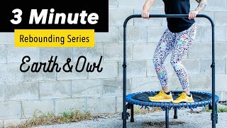 DAY 2 Rebounding HIIT Workout for Beginners and Seniors 3 Minutes [upl. by Cordelia]