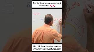 Dont Mix Aminoglycosides And Penicillins ❌❌ shortvideo shorts drnajeeb drnajeeblectures [upl. by Edmea616]