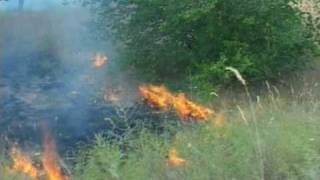 Incendies en Russie un léger mieux mais propagation dans le sud [upl. by Fernande54]