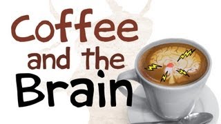 How Coffee Affects Your Brain [upl. by Yrehcaz]