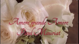 Amore grande Amore  Paul Mauriat  Eveline Hoffmann [upl. by Ahto]