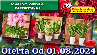 𝐁𝐈𝐄𝐃𝐑𝐎𝐍𝐊𝐀🐞Kwiaciarnia Biedronki Nowa Oferta Od 01082024 Kwiatowe Inspiracje Biedronki Tanie Kwiaty [upl. by Dulcinea870]