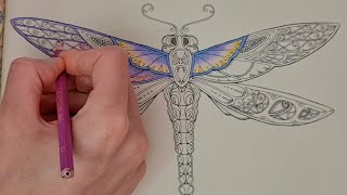 The Enchanted Forest by Johanna Basford coloring dragonfly [upl. by Ddot]