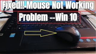 How to Fix Mouse Not Working in Windows 10  Lenovo Laptop [upl. by Ayrolg786]