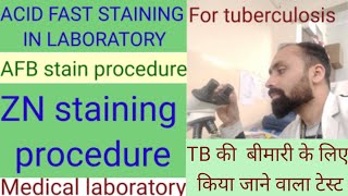 AFB staining procedure  acid fast stain  zn stain for mycobacterium tuberculosis [upl. by Saied]