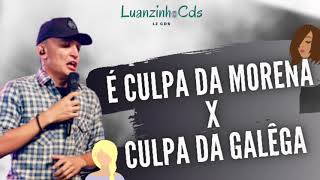 JOÃO GOMES  É CULPA DA MORENA X É CULPA DA GALÊGA  SE EU NÃO CONSEGUIR DOMIR NÃO É CAFEÍNA  NOVA [upl. by Htiffirg659]