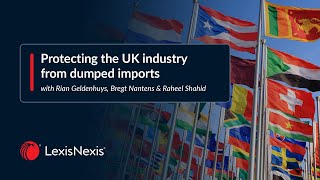 Protecting the UK industry from dumped imports [upl. by Nnylatsyrk739]