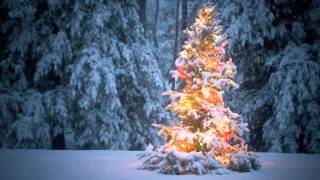 The Christmas Song Chestnuts Roasting — Wells Cathedral Choir [upl. by Iohk578]