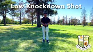 Low Knockdown Shot [upl. by Pang]