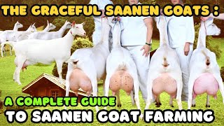 quotThe Graceful Saanen Goat A Complete Guide to Saanen Goat Farmingquot [upl. by Jacquelin938]