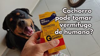 Antiparasitários vermífugos de humanos para cachorro [upl. by Michael574]