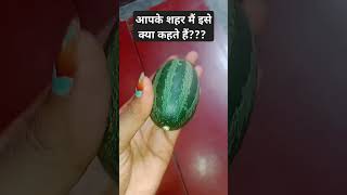 Isee ky kehte h ytshorts terracegarde gardeningplants miniwatermelon [upl. by Eceerahs]