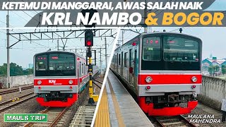 Kalau KRL Ke Bogor dan Nambo Bersandingan Jangan Salah Naik Ya [upl. by Dogs]