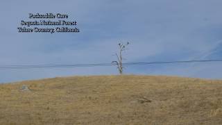 Packsaddle Cave  Sequoia National Forest California 4K [upl. by Crystie72]