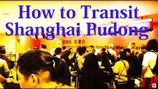 【Airport Tour】2024 How to Transit at Shanghai Pudong Airport Terminal 2 [upl. by Charron]