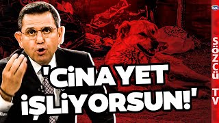 Sokak Hayvanlarını Uyutma Planı Fatih Portakalı Çıldırttı Yayında Çok Sinirlendi [upl. by Canute]