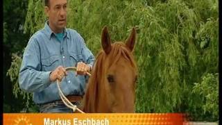 ZDF Beitrag quotFreies Reiten mit Markus Eschbach  Reiten ohne Sattel und Zaumzeugquot [upl. by Carline]