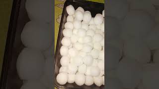 Storing Mothballs In Different Containers⚪️ satisfying mothball storing oddysatisfying [upl. by Braeunig]