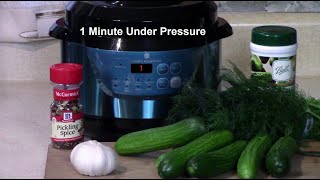 Pressure Cooker Dill Pickles Plus Gherkins No Canning Method [upl. by Hgielac]