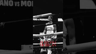 AMANDA SERRANO VS STEVIE MORGAN KNOCKOUT [upl. by Humo]