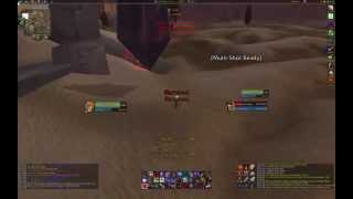 How to The Ancient Leaf  Hunter Vanilla Quest [upl. by Aihsaei]