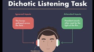 Dichotic Listening linguistics shortvideo learning [upl. by Tolliver]